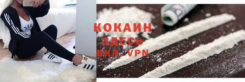 Cocaine Columbia  Грязовец 