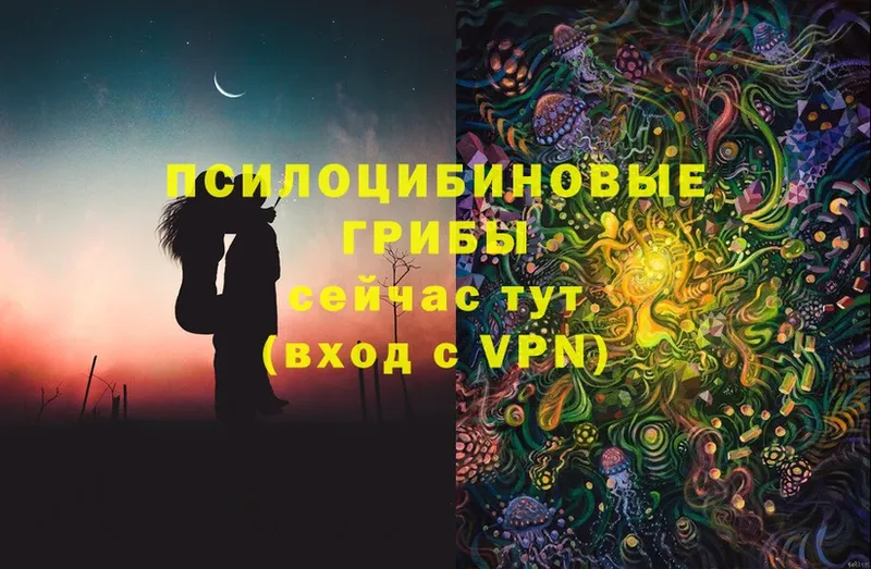 Галлюциногенные грибы Cubensis  купить закладку  Грязовец 